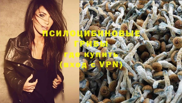 каннабис Алексин